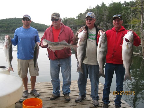 Nice Striped Bass